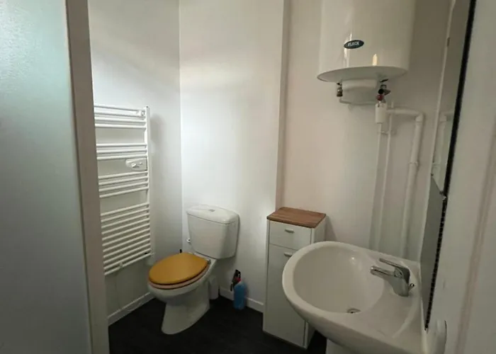 Apartmán Studio Avec Balcon Au Centre De *